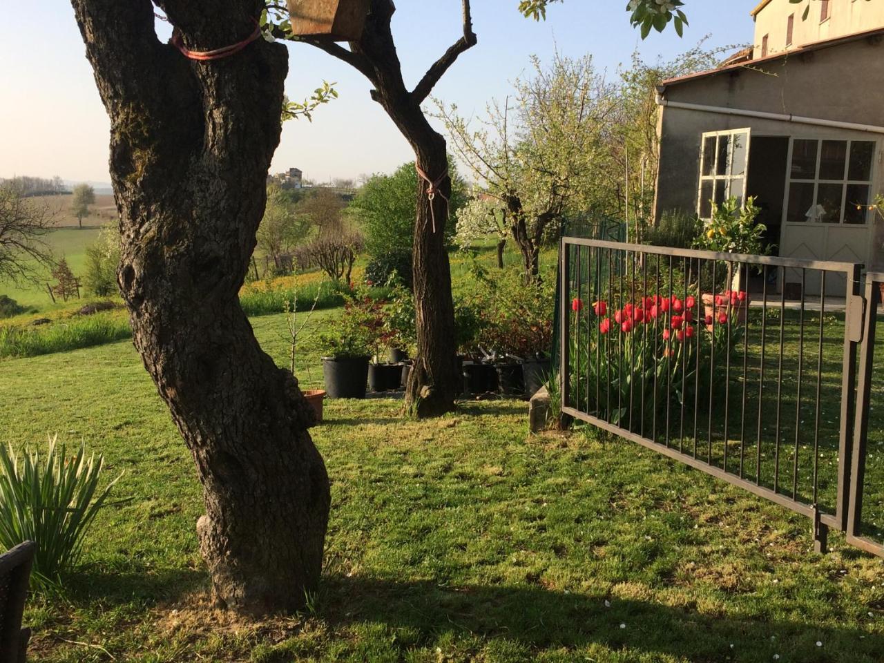 Cascina Vicentini Guest House Alfiano Natta Екстериор снимка