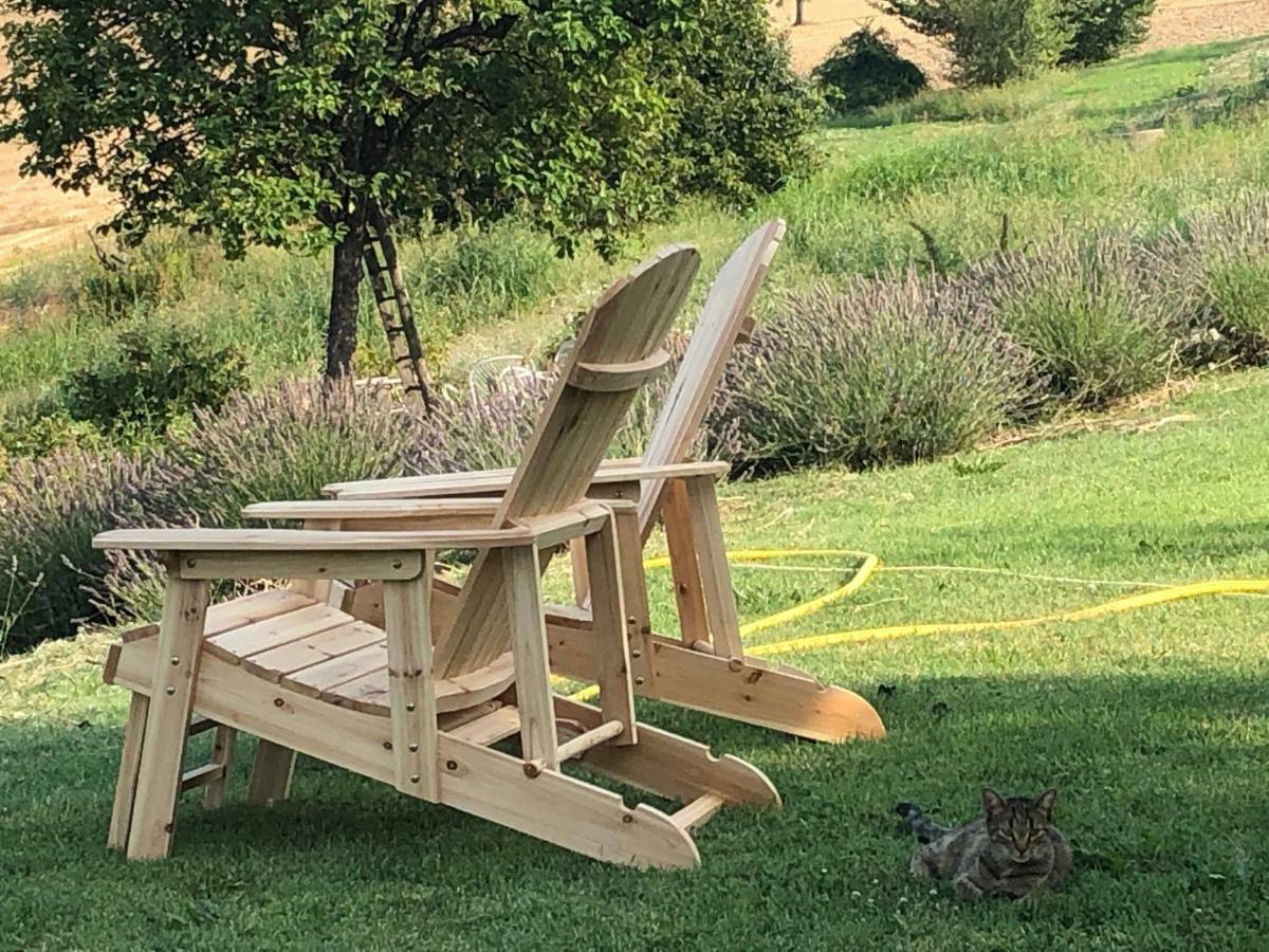 Cascina Vicentini Guest House Alfiano Natta Екстериор снимка